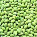 Frozen Soybean Kernels IQF New Crop